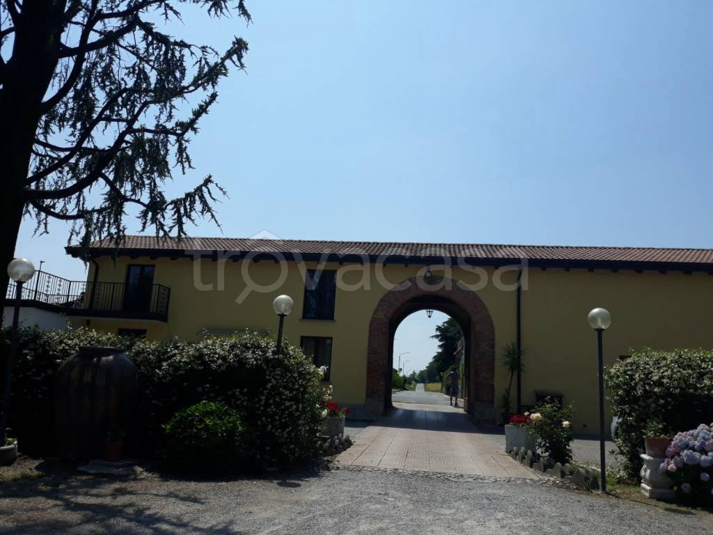 immagine annuncio 2 di 15