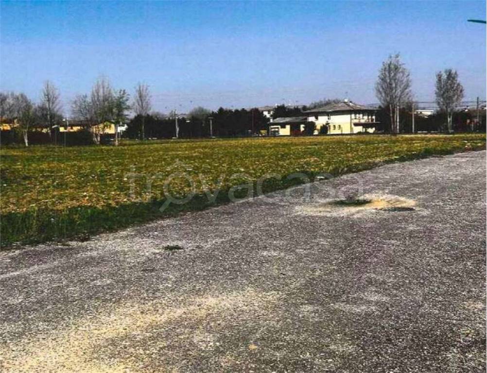 immagine annuncio 7 di 14