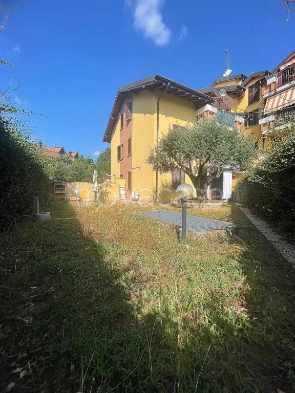 immagine annuncio 11 di 15