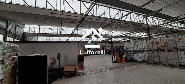 immagine annuncio 9 di 14