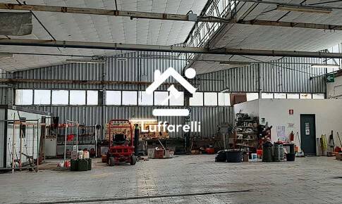 immagine annuncio 10 di 14