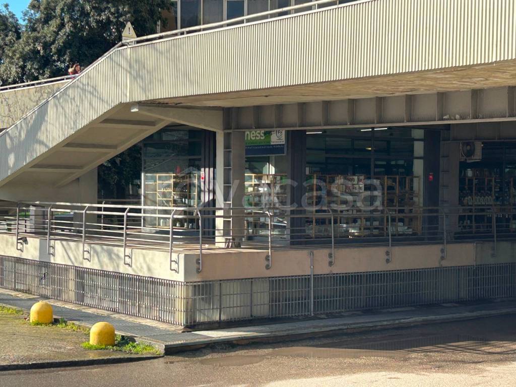 immagine annuncio 1 di 9