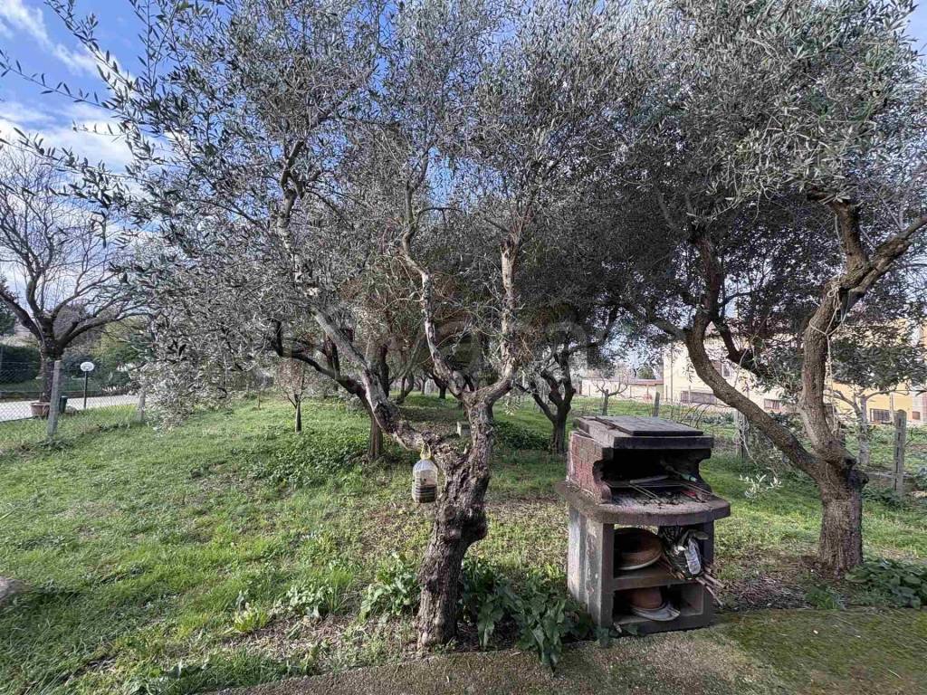 immagine annuncio 4 di 12