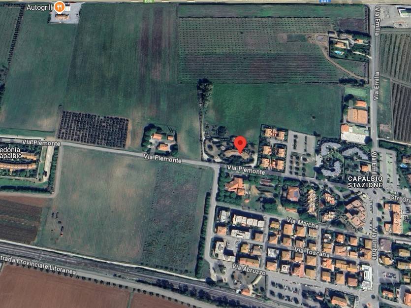 immagine annuncio 2 di 14