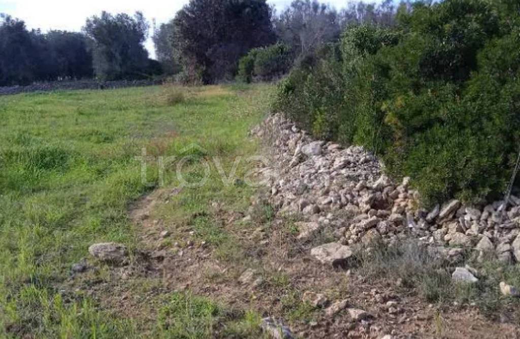 immagine annuncio 8 di 11