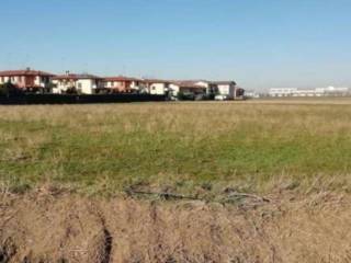 Terreno agricolo all'asta a casorate primo via pionnio, snc