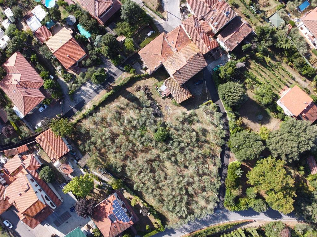 immagine annuncio 3 di 4