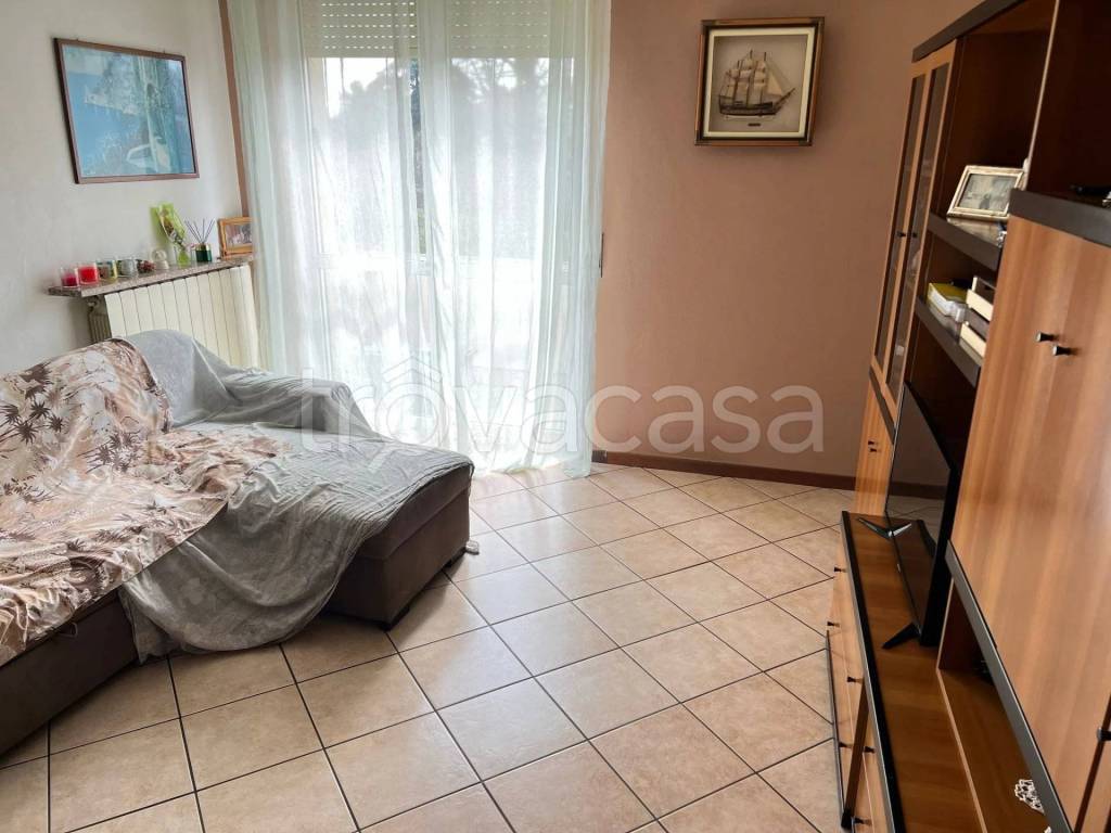 immagine annuncio 2 di 12