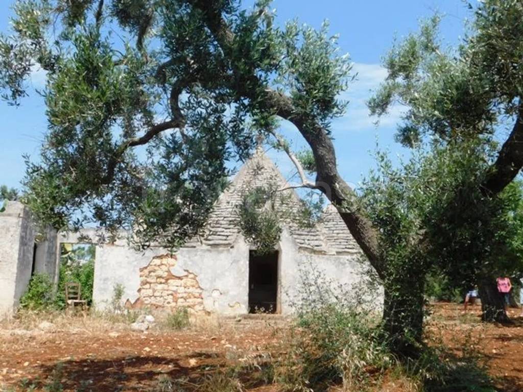 immagine annuncio 7 di 12