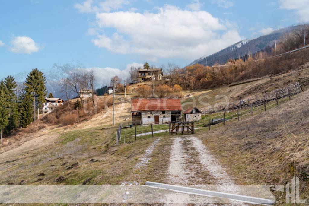 immagine annuncio 1 di 7