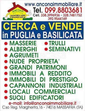 immagine annuncio 12 di 13