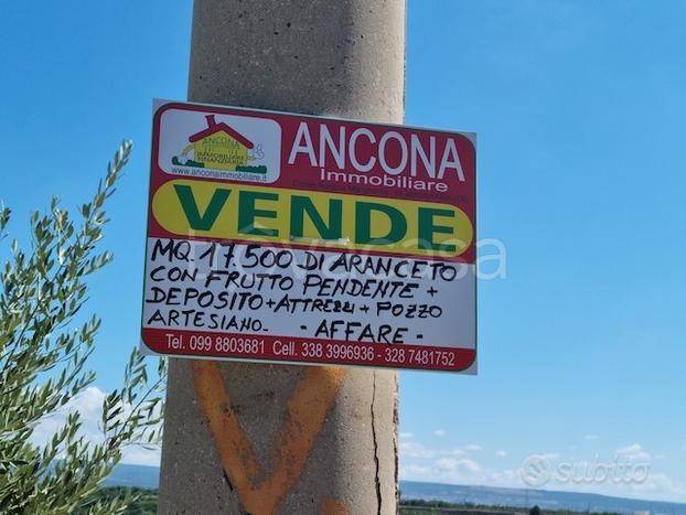 immagine annuncio 12 di 14