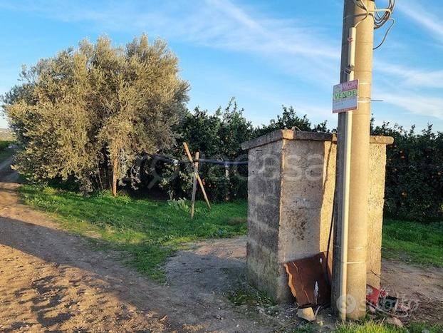 immagine annuncio 1 di 12