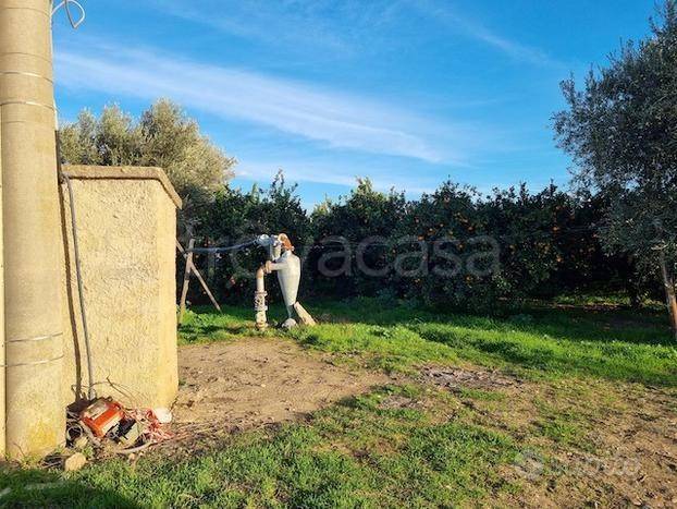 immagine annuncio 4 di 12