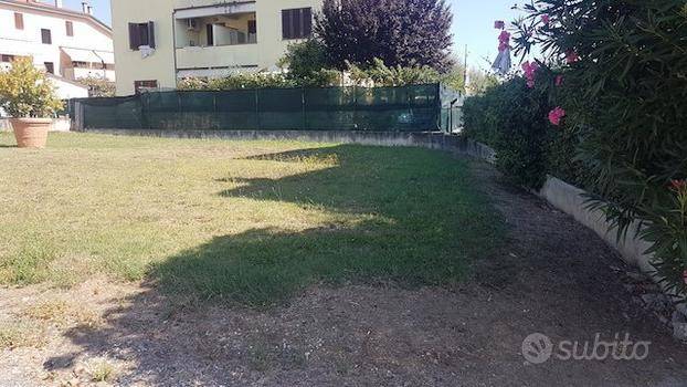 immagine annuncio 3 di 8