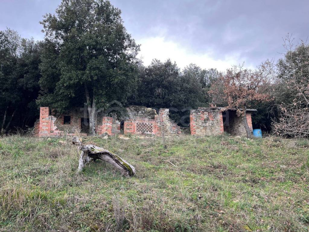 immagine annuncio 13 di 14