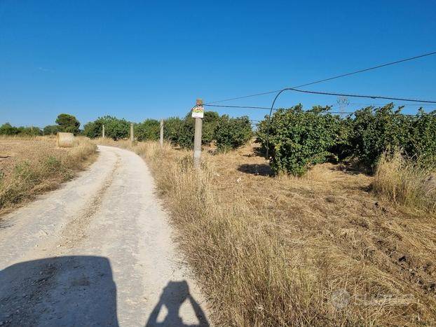 immagine annuncio 8 di 11