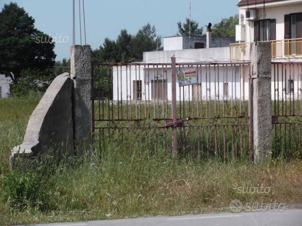 immagine annuncio 1 di 4