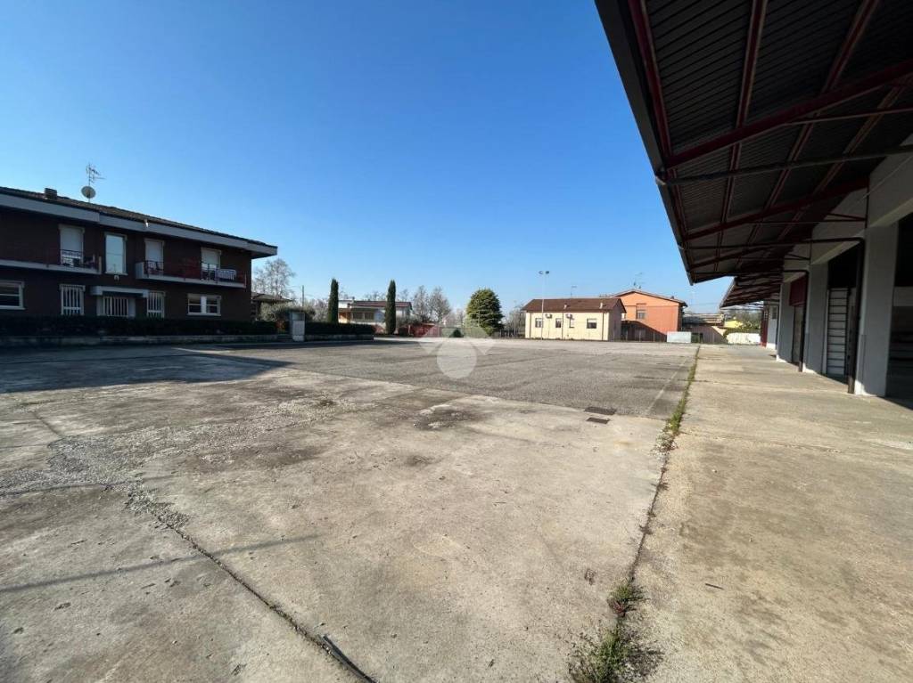 immagine annuncio 11 di 15