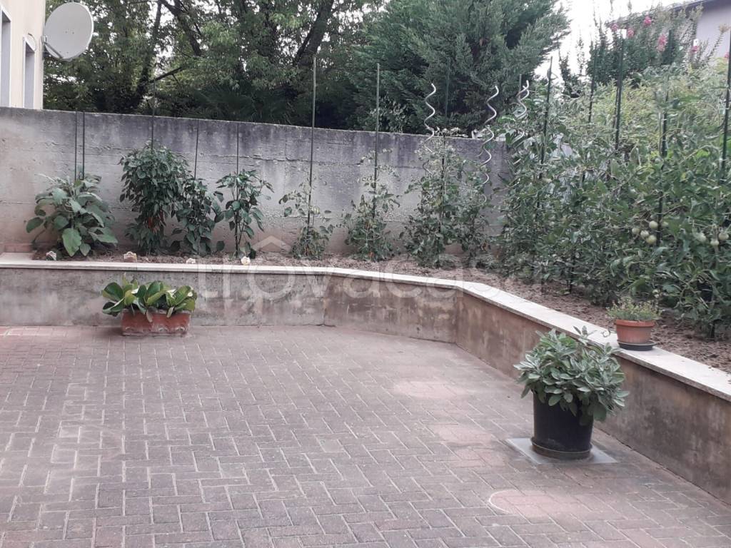immagine annuncio 7 di 11