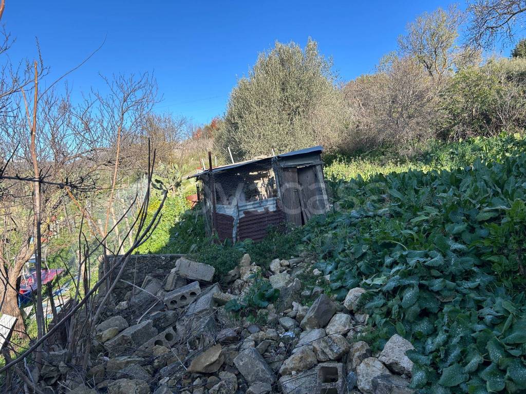 immagine annuncio 7 di 8