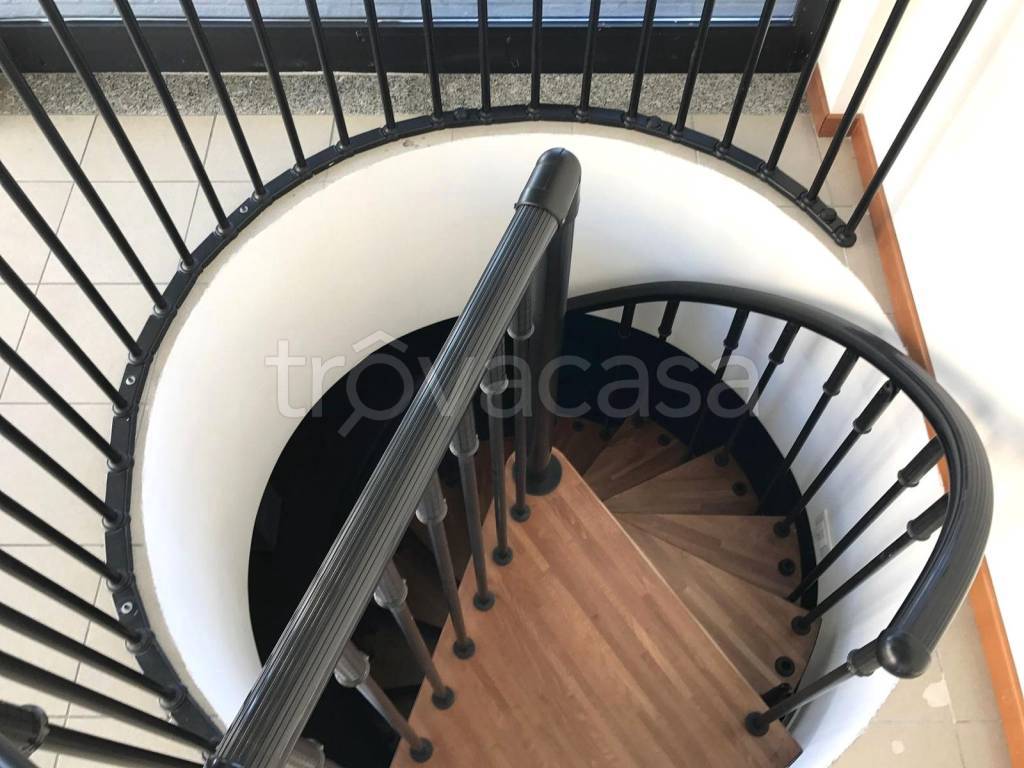 immagine annuncio 5 di 14