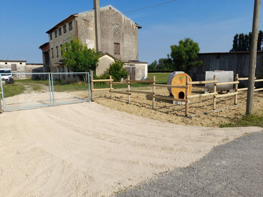immagine annuncio 5 di 9
