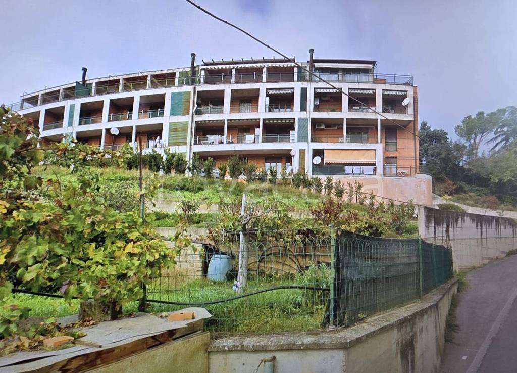 immagine annuncio 9 di 11