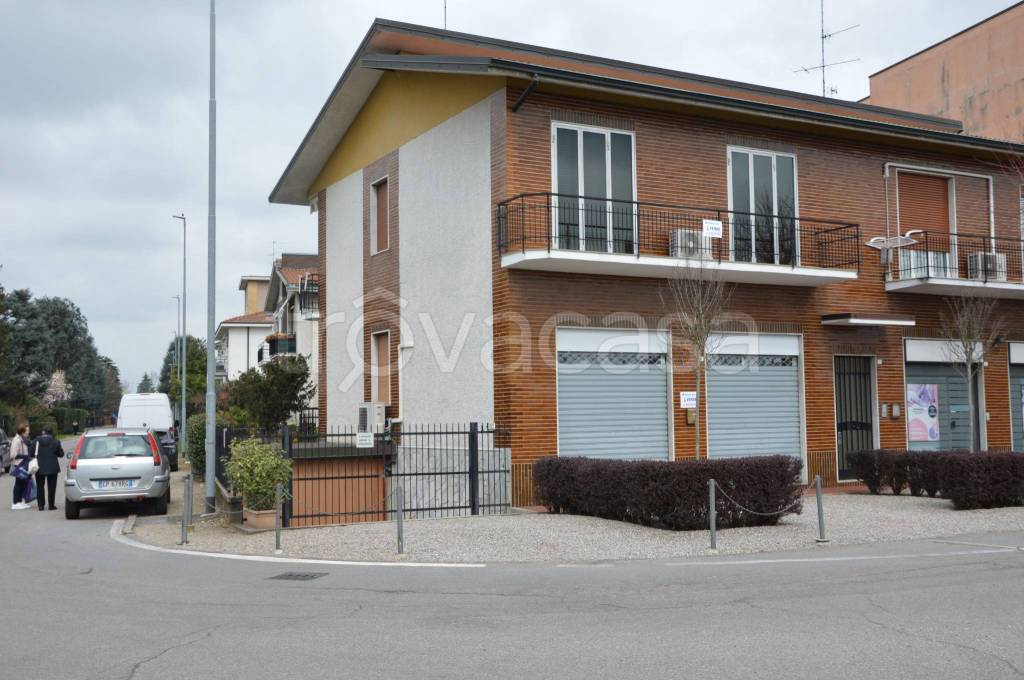 immagine annuncio 2 di 15