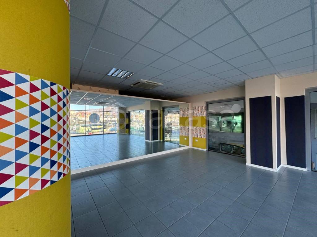 immagine annuncio 9 di 15