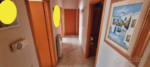 immagine annuncio 2 di 14