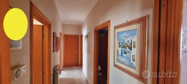 immagine annuncio 4 di 14