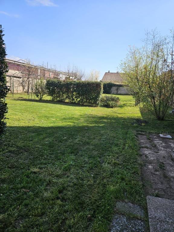 immagine annuncio 6 di 11
