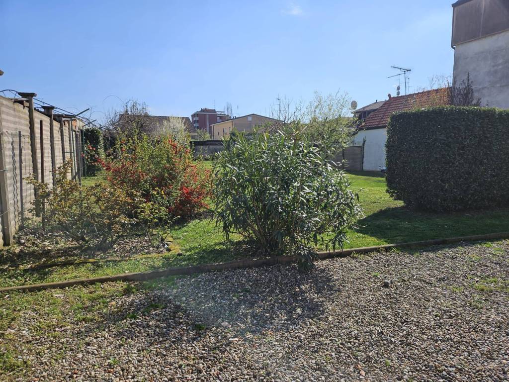 immagine annuncio 5 di 11