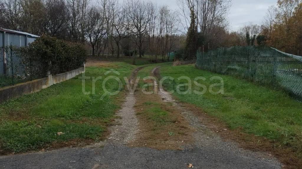 immagine annuncio 5 di 13