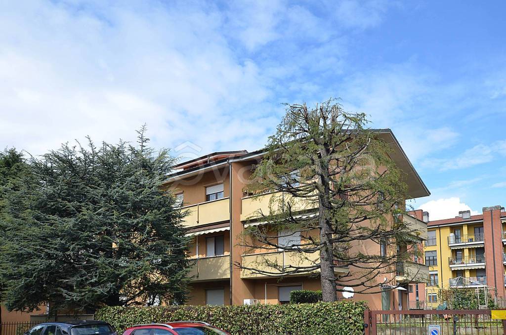 immagine annuncio 9 di 12