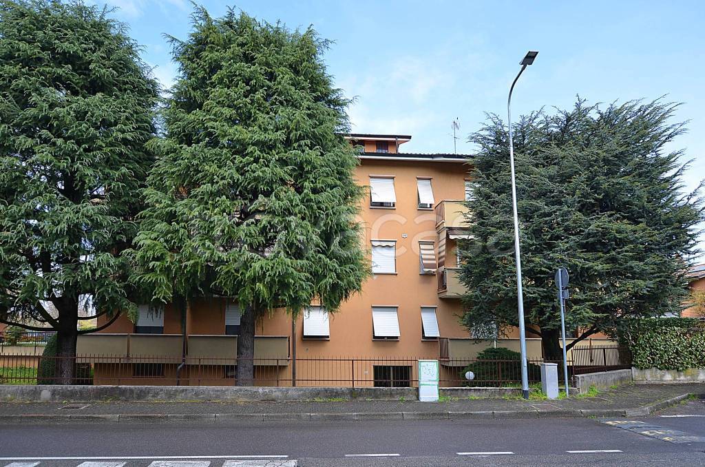 immagine annuncio 10 di 12