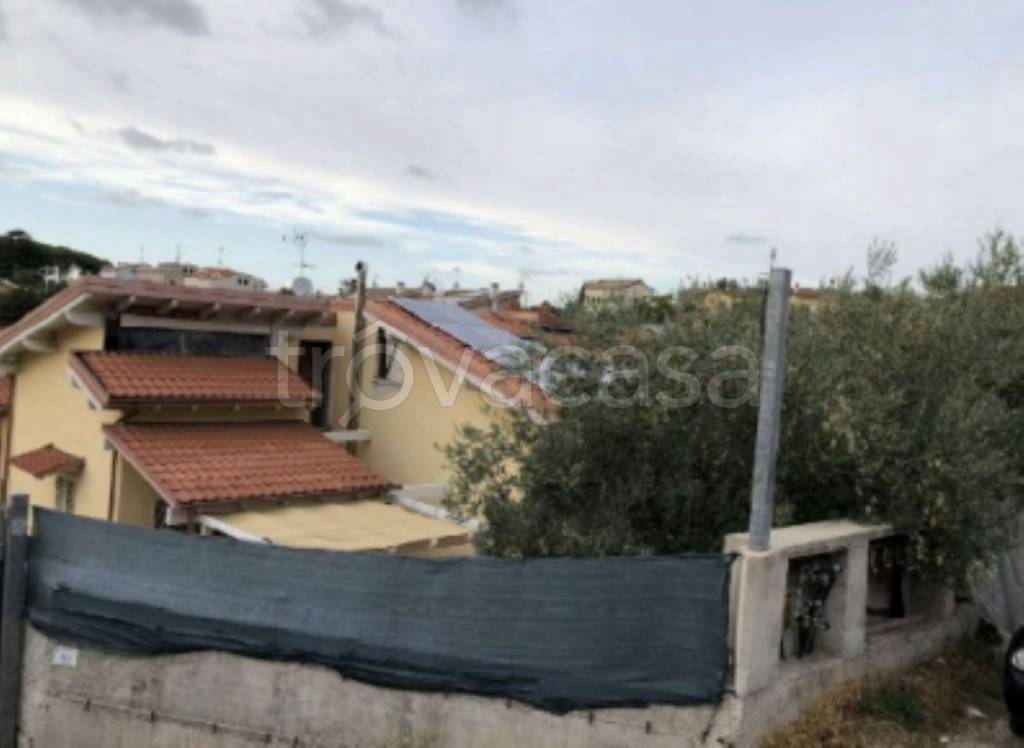 immagine annuncio 3 di 11