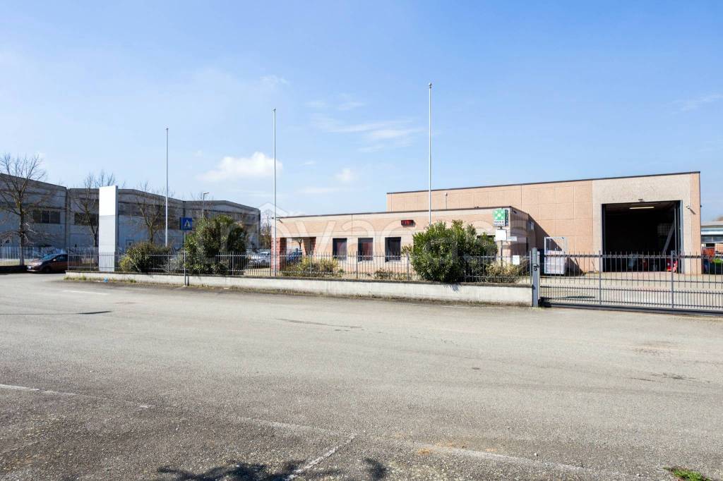 immagine annuncio 9 di 15