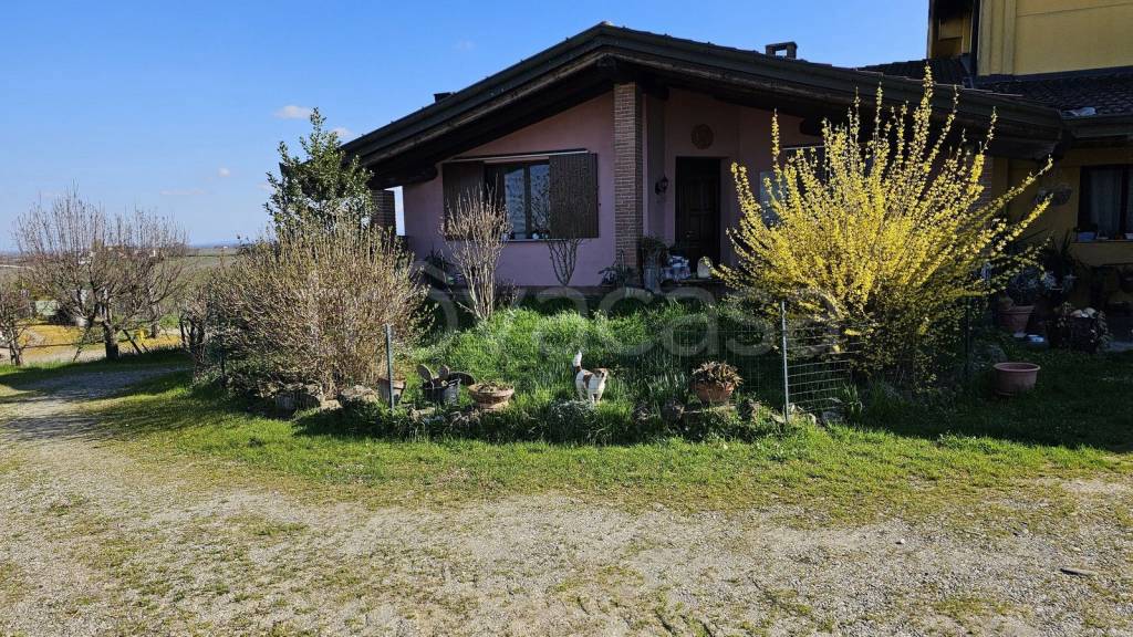 immagine annuncio 2 di 12