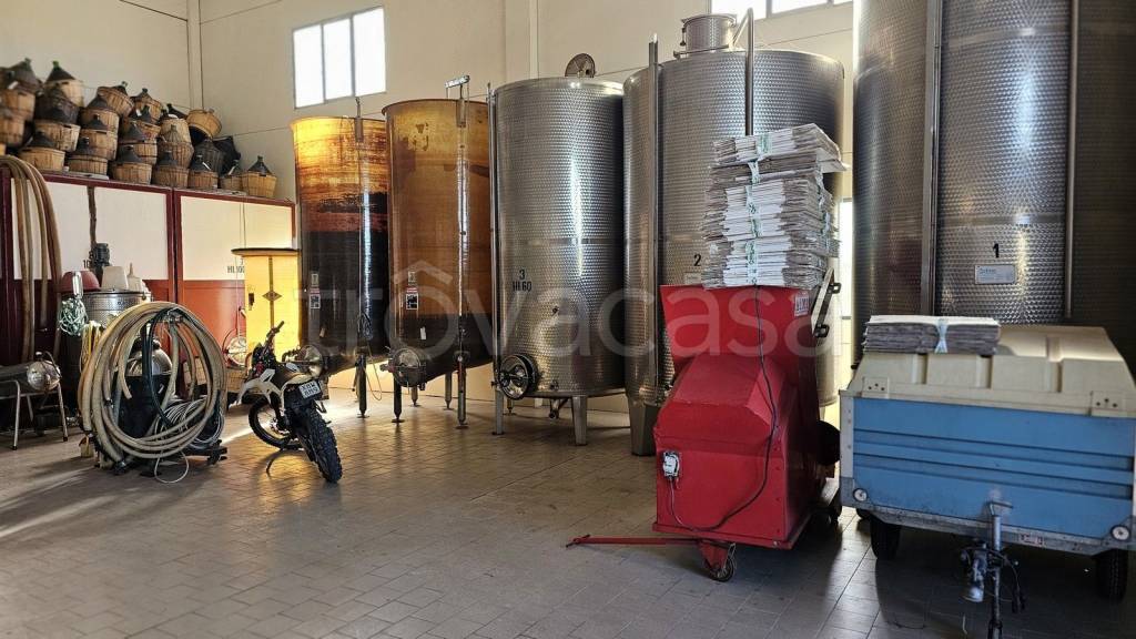 immagine annuncio 9 di 12