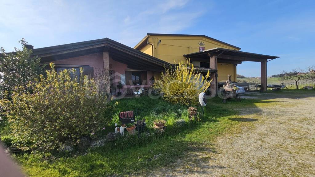 immagine annuncio 1 di 12
