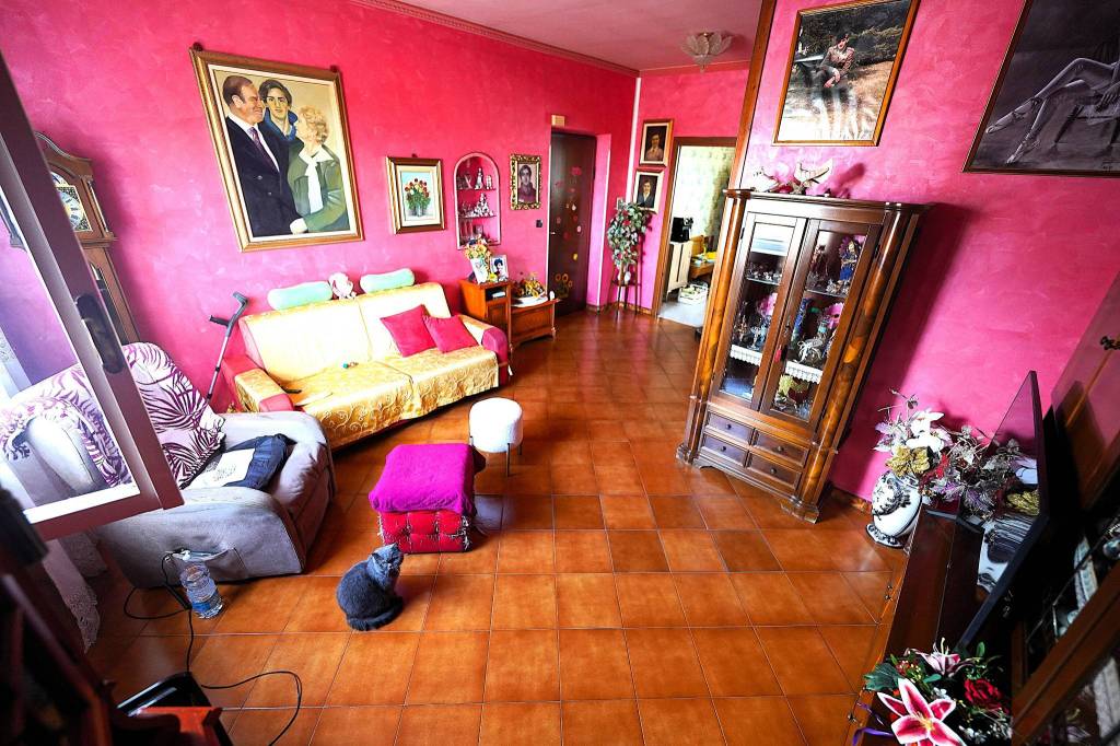 immagine annuncio 3 di 15