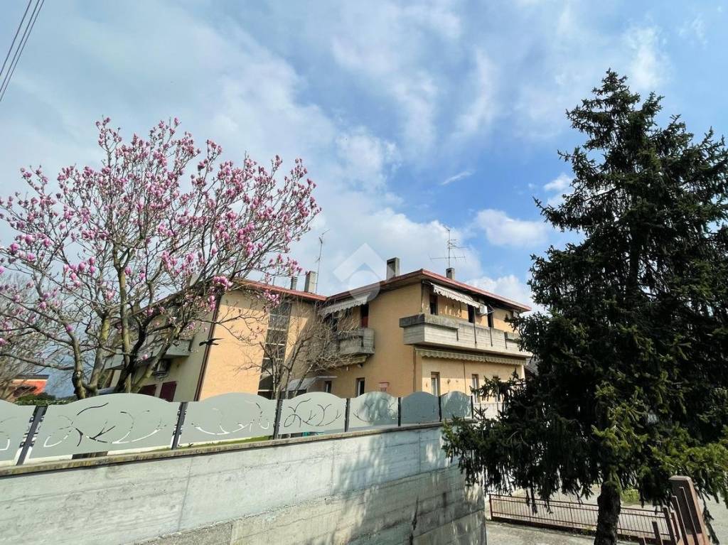 immagine annuncio 5 di 6
