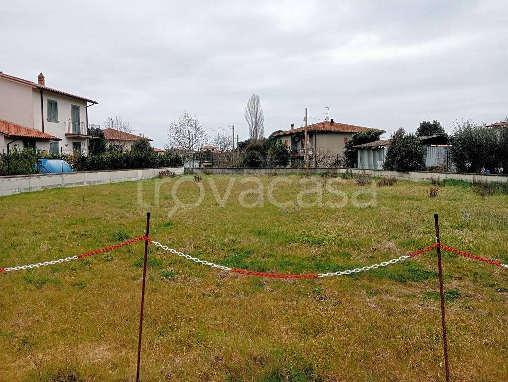 immagine annuncio 2 di 6