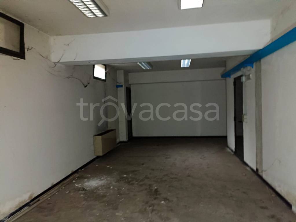 immagine annuncio 5 di 8