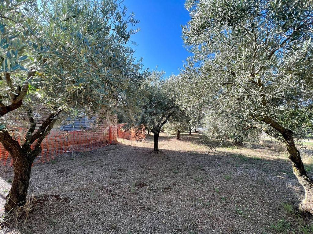 immagine annuncio 5 di 6