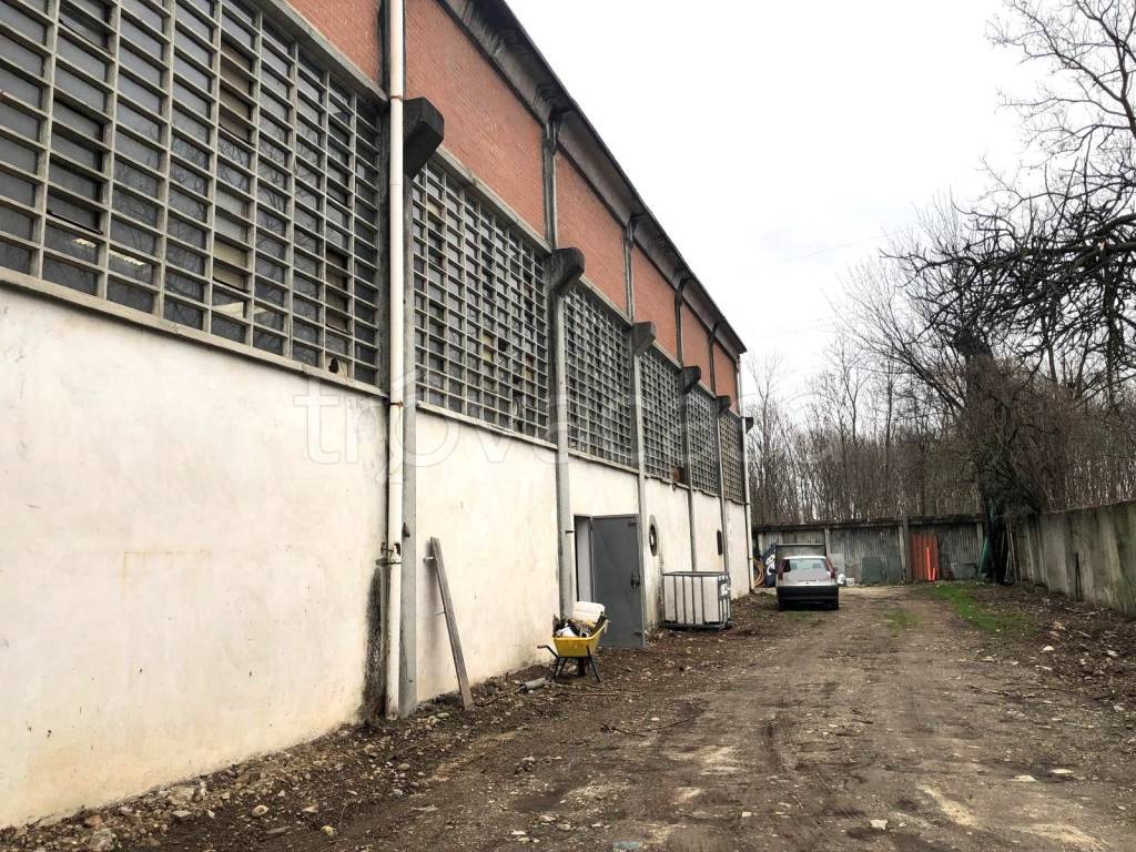 immagine annuncio 5 di 6