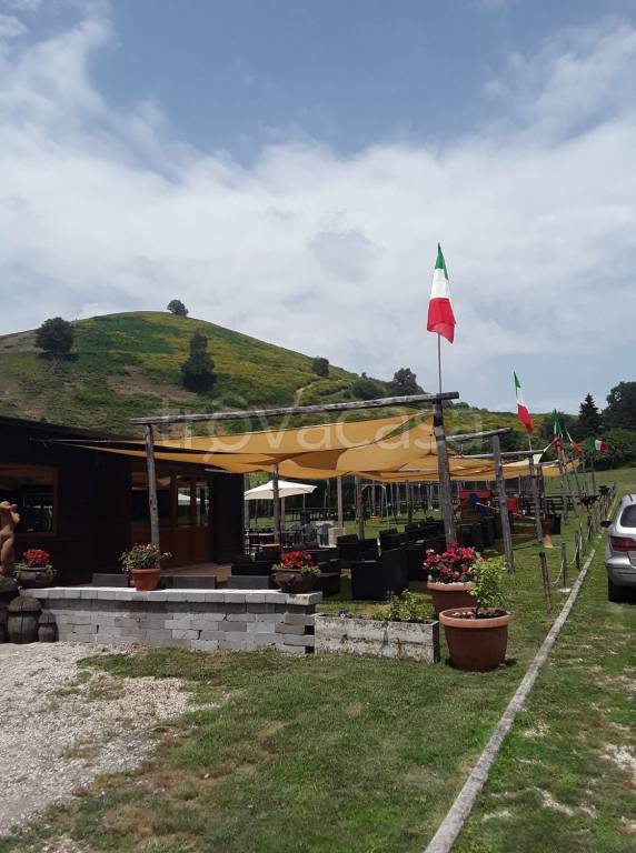 immagine annuncio 7 di 8