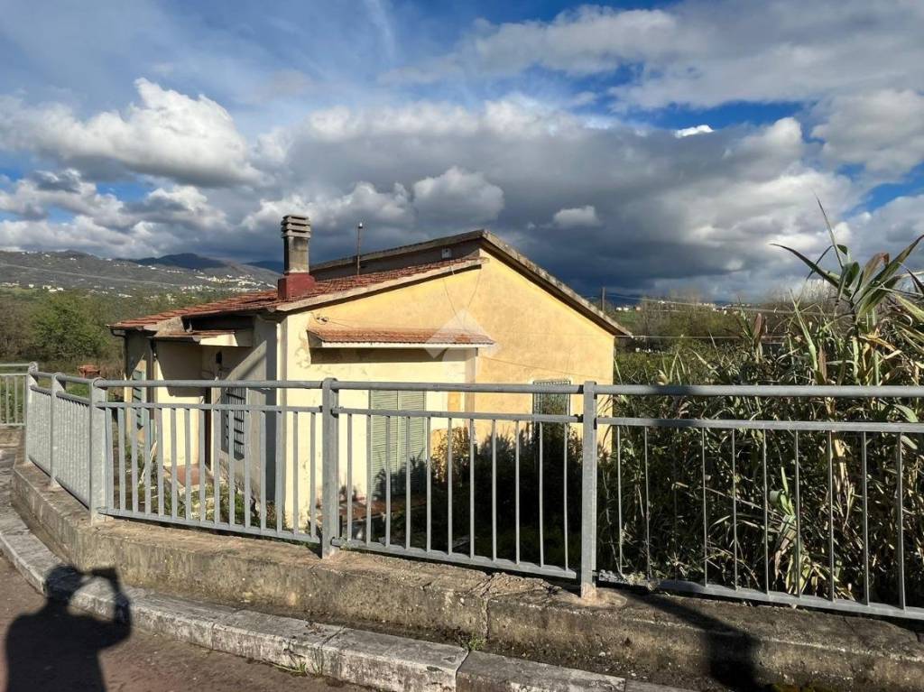 immagine annuncio 5 di 12